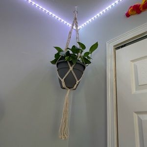 two macrame plant holder